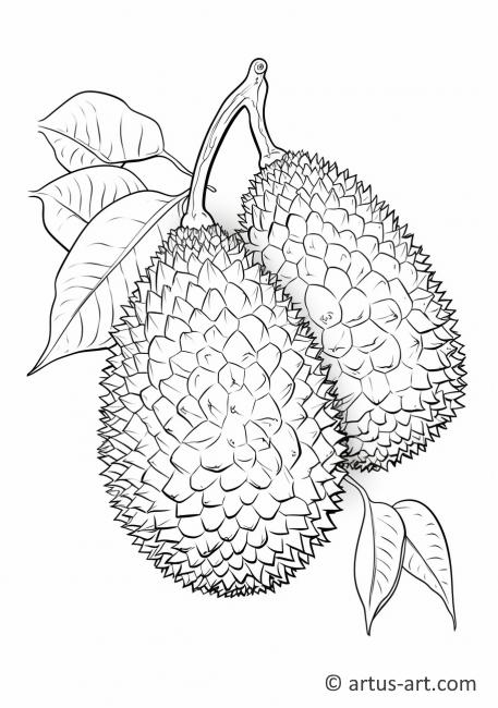 Página para colorear de la fruta de durian